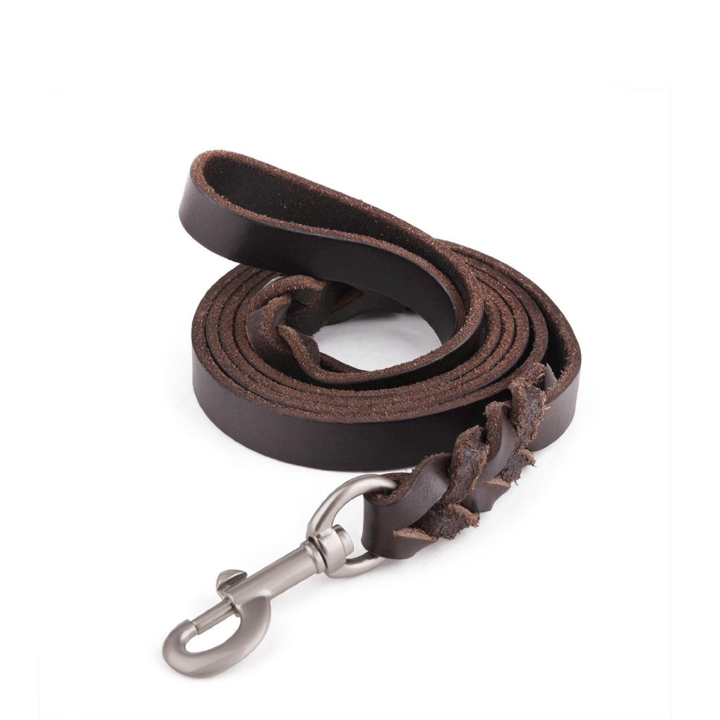 The best leash for dog training Humans for Dogs